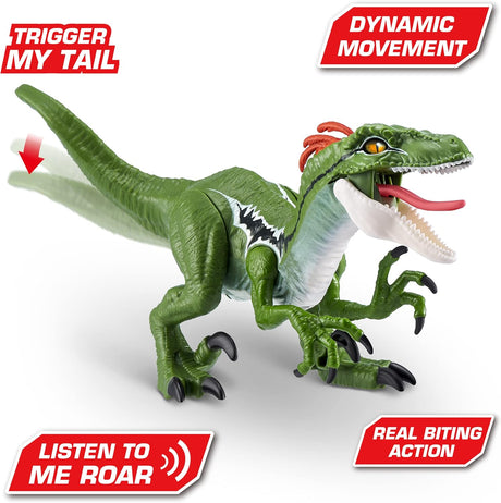 ZURU ROBO ALIVE Dino Action Series 1 Raptor-1 PCS- 7172